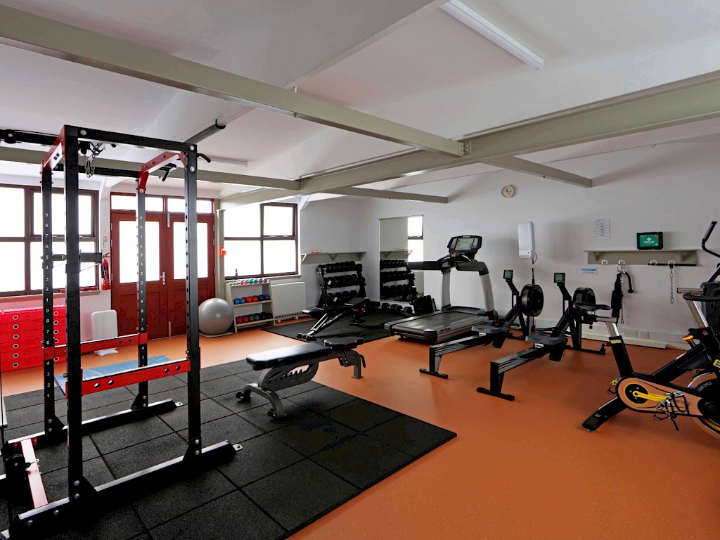 Inside the Nesting Gym