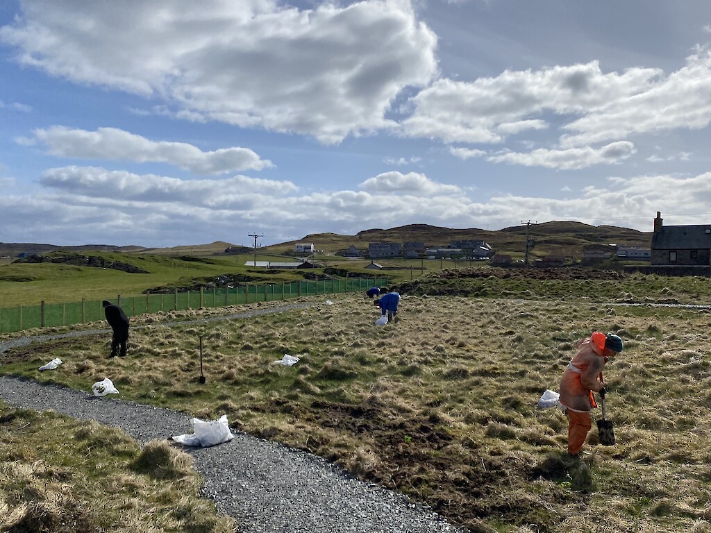 Community tree planting beside the Aald Sk&uuml;l